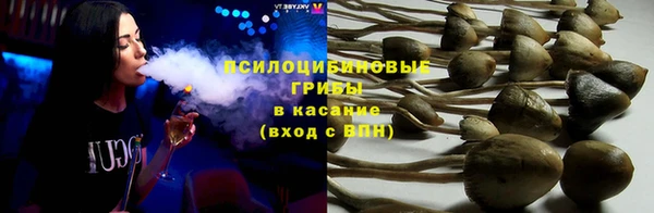 spice Арсеньев