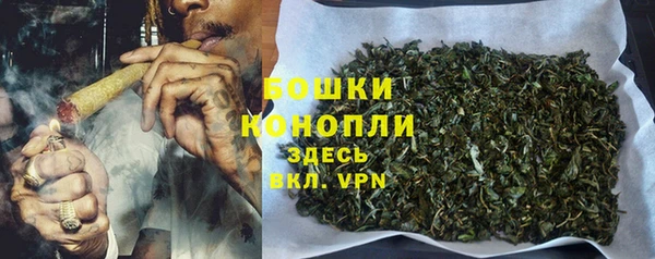 молекула духа Балабаново