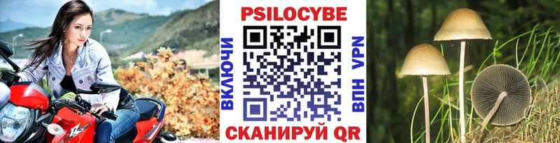 Псилоцибиновые грибы Magic Shrooms  Артём 